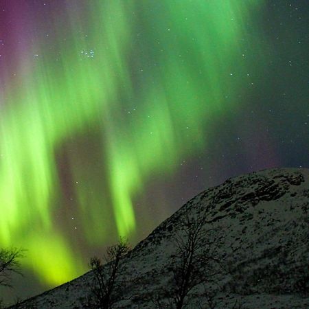 6 Person Holiday Home In Olderdalen 외부 사진